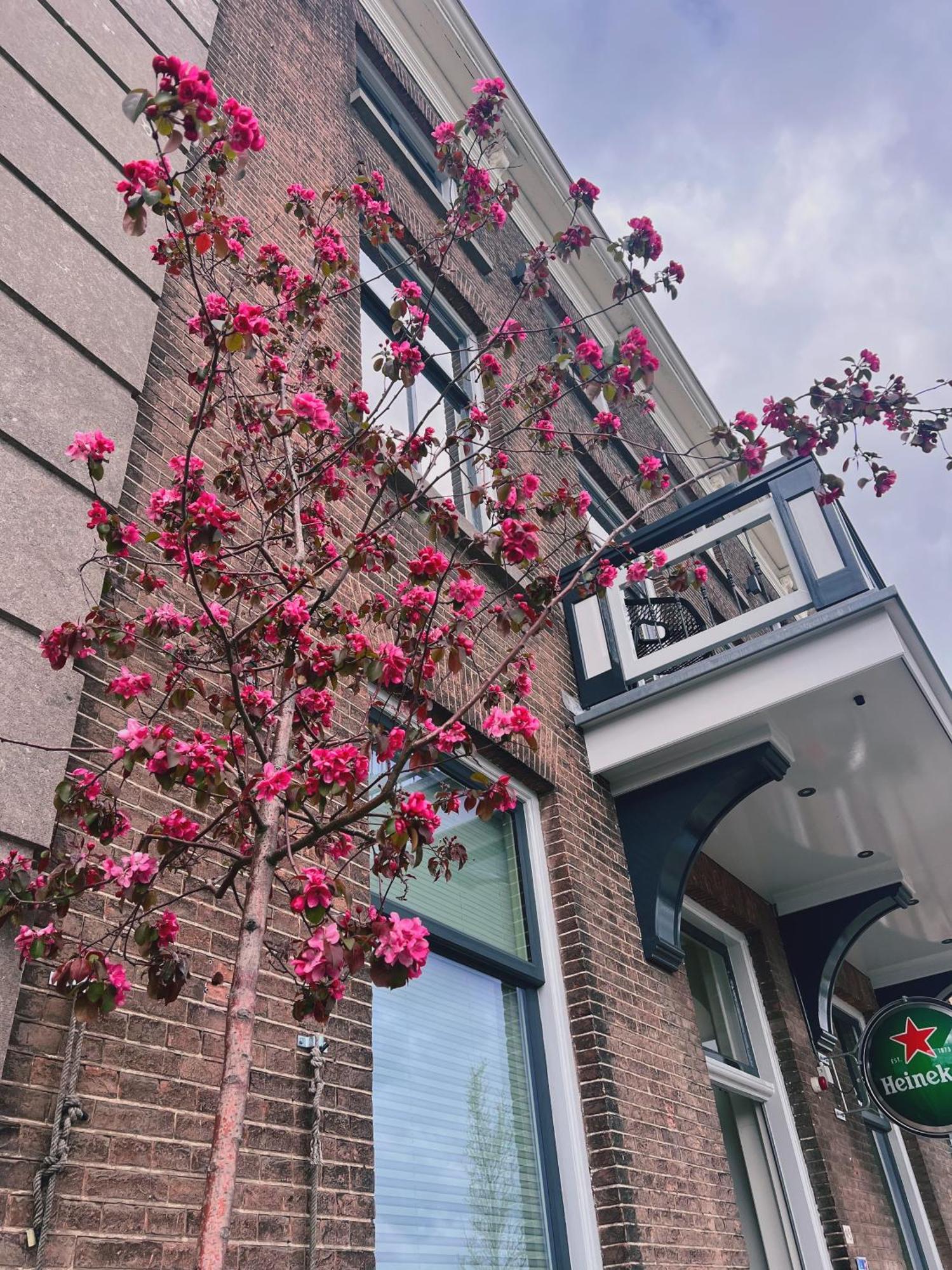 Hotel Loskade 45 Middelbourg
